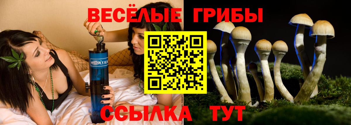 Галлюциногенные грибы мицелий  Галлюциногенные грибы мицелий  Владикавказ  Вход с VPN 